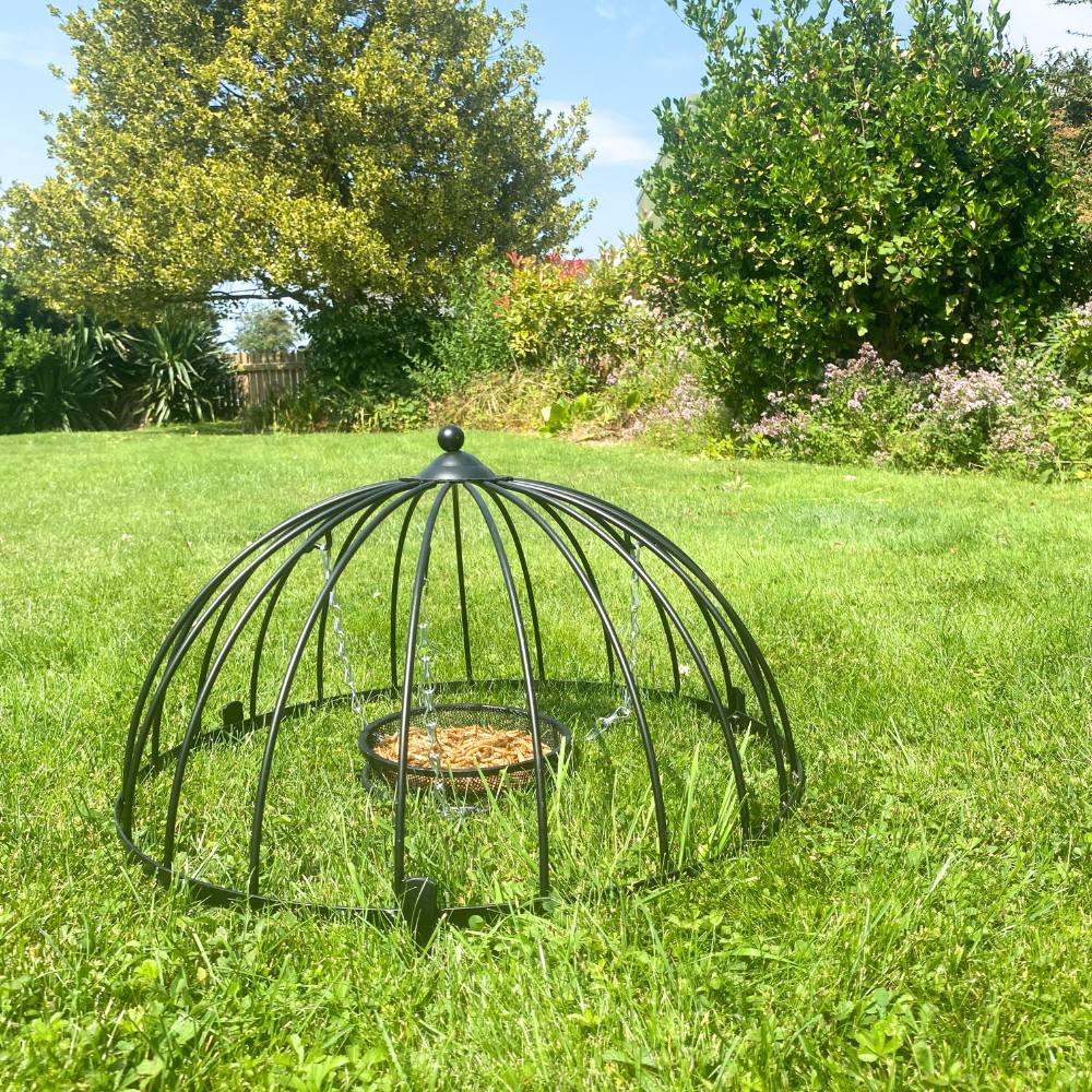 Ground Feeder Sanctuary